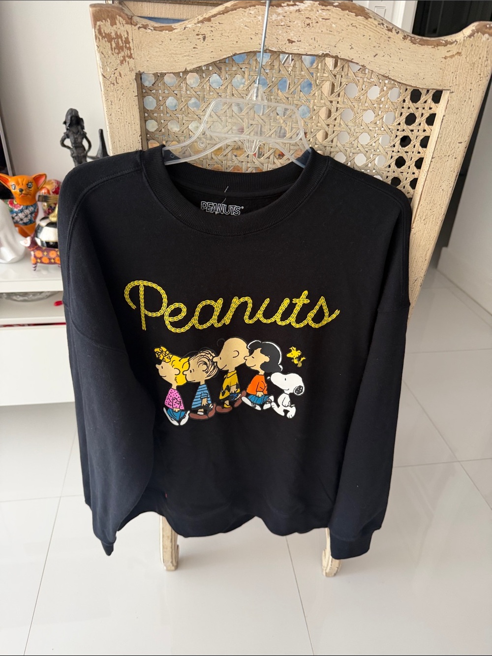 Peanuts Charlie Brown & Friends Black Sweatshirt with Colorful Character Graphic